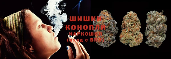 индика Володарск
