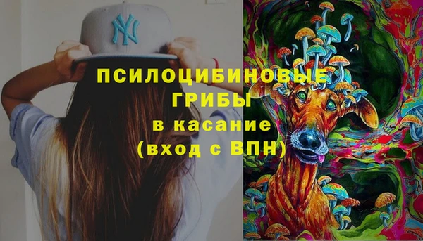 индика Володарск