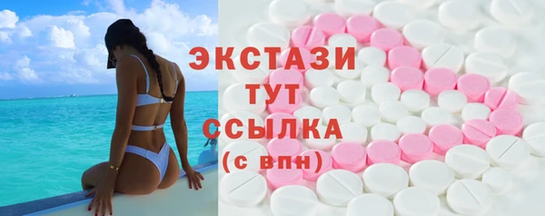 индика Володарск