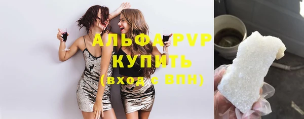 индика Володарск