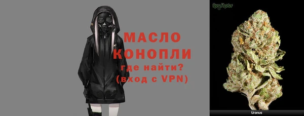индика Володарск