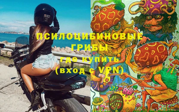 индика Володарск