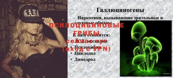 ГАЛЛЮЦИНОГЕННЫЕ ГРИБЫ Волосово