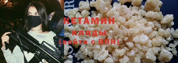 индика Володарск