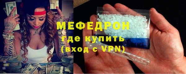 индика Володарск
