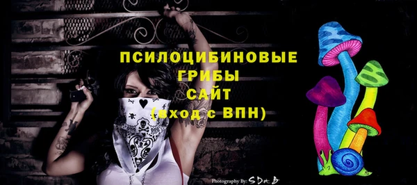 ГАЛЛЮЦИНОГЕННЫЕ ГРИБЫ Волосово