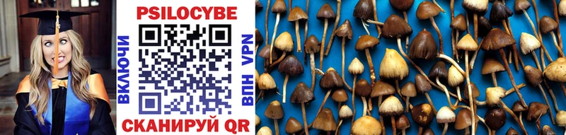 Купить где Медвежьегорск Псилоцибиновые грибы Magic Shrooms